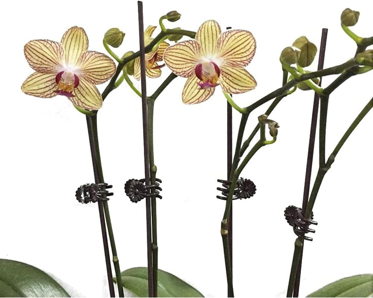 Plantora Support Clips Reusable Garden Clips, 100 Pcs Medium Plant Support Clips for Stems