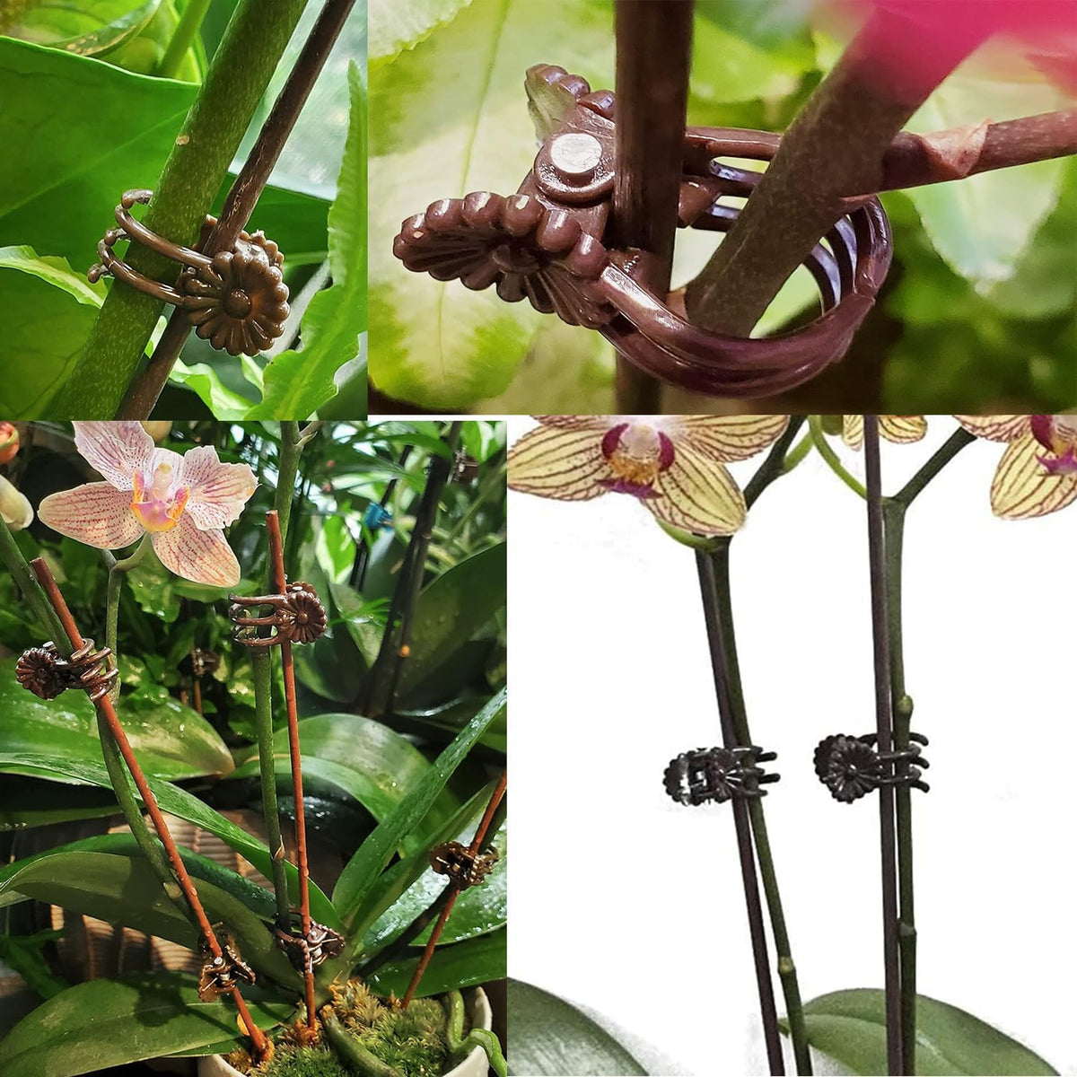 Plantora Support Clips Reusable Garden Clips, 100 Pcs Medium Plant Support Clips for Stems